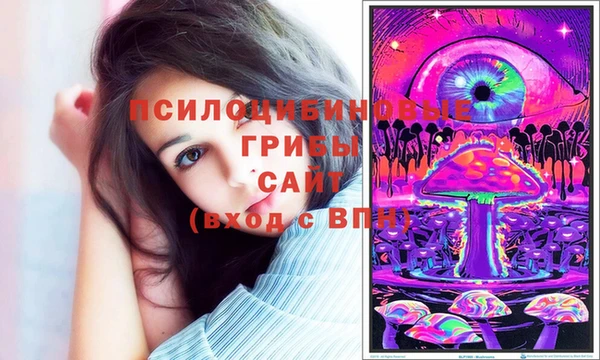 прущий лед Киреевск