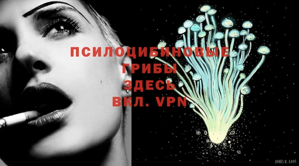 ПСИЛОЦИБИНОВЫЕ ГРИБЫ Алапаевск