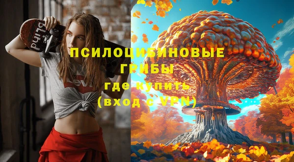 ПСИЛОЦИБИНОВЫЕ ГРИБЫ Алапаевск